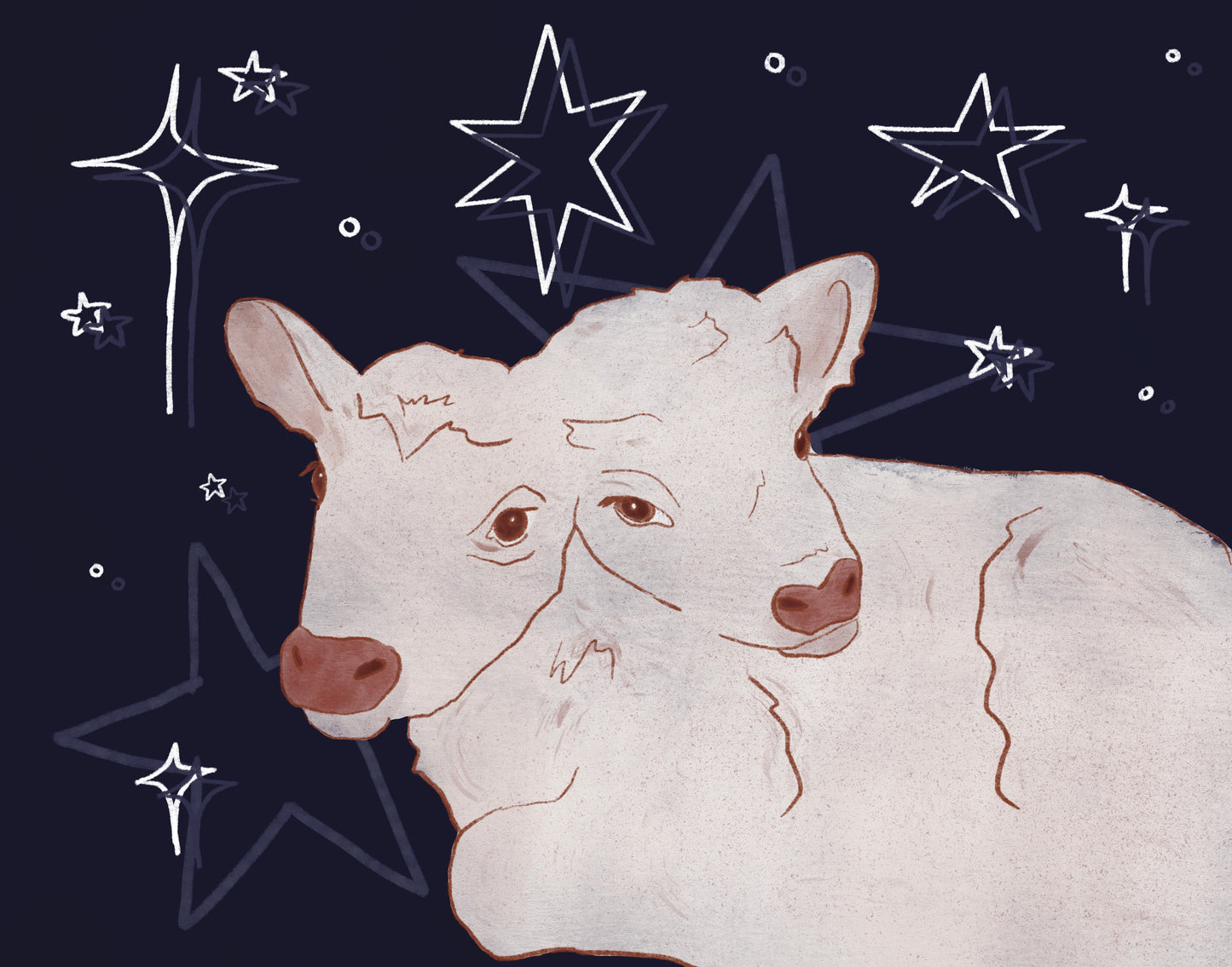 Two Headed Calf Art Print